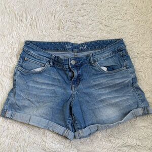 The Limited Light Blue Jean Shorts